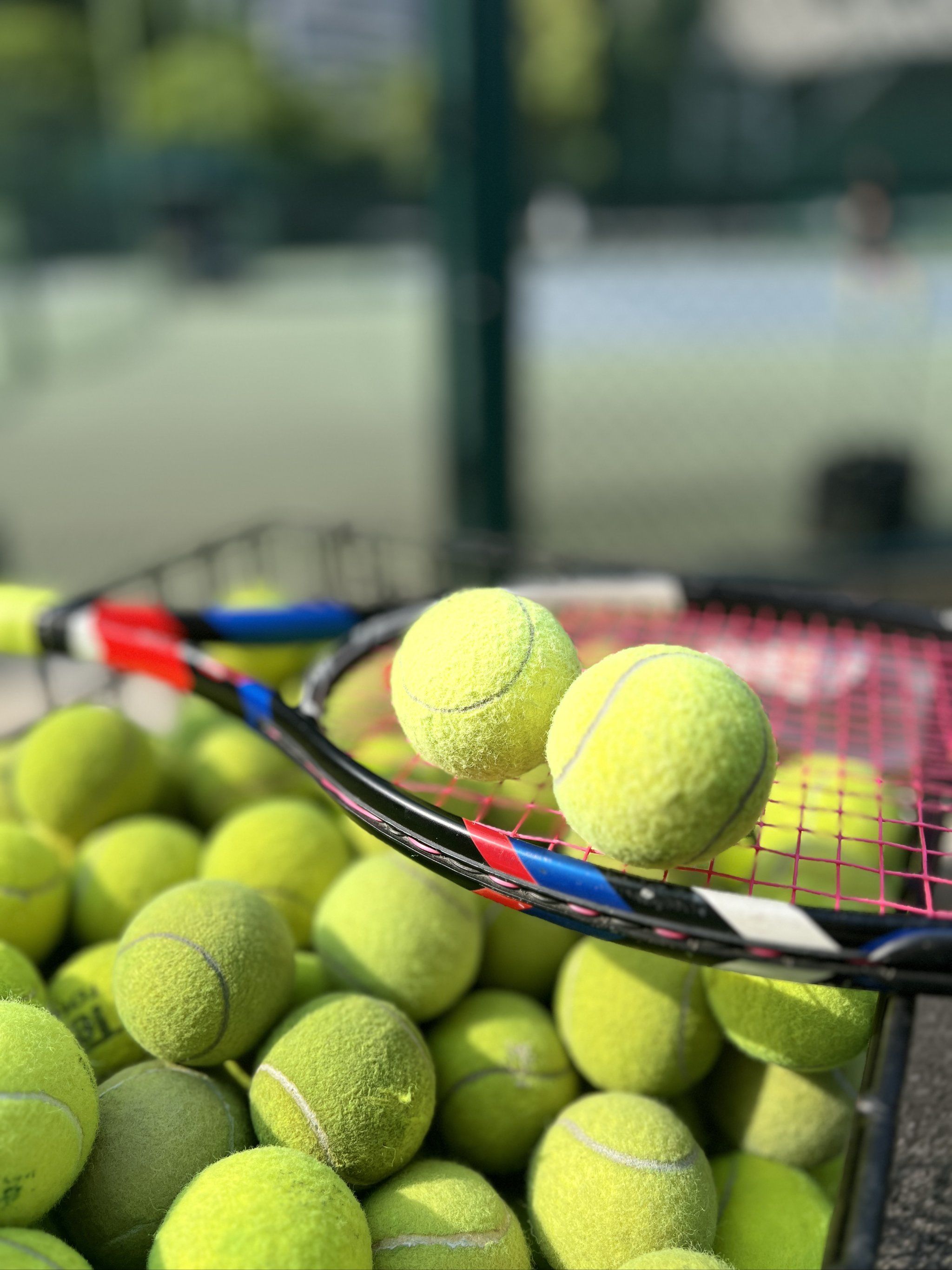 对曼联的向 对曼联的向