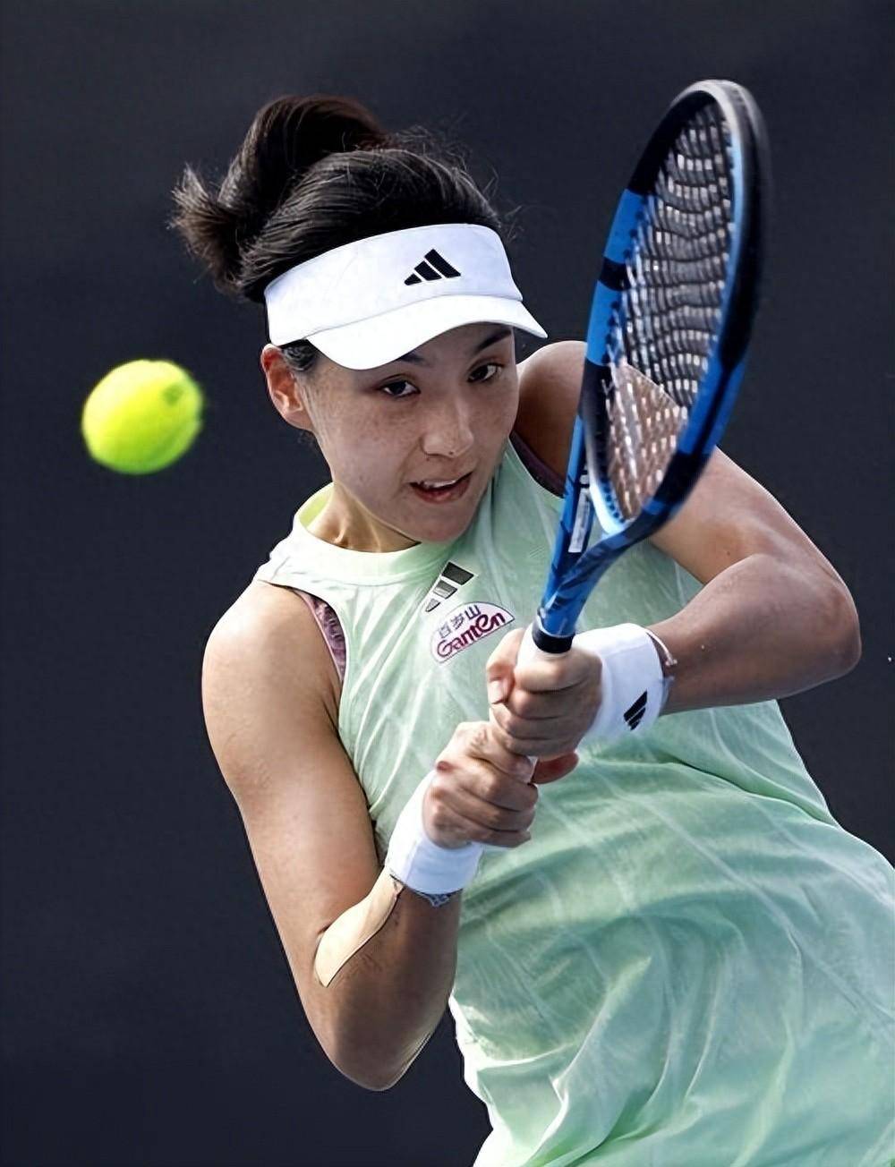 关于梅里诺 关于梅里诺