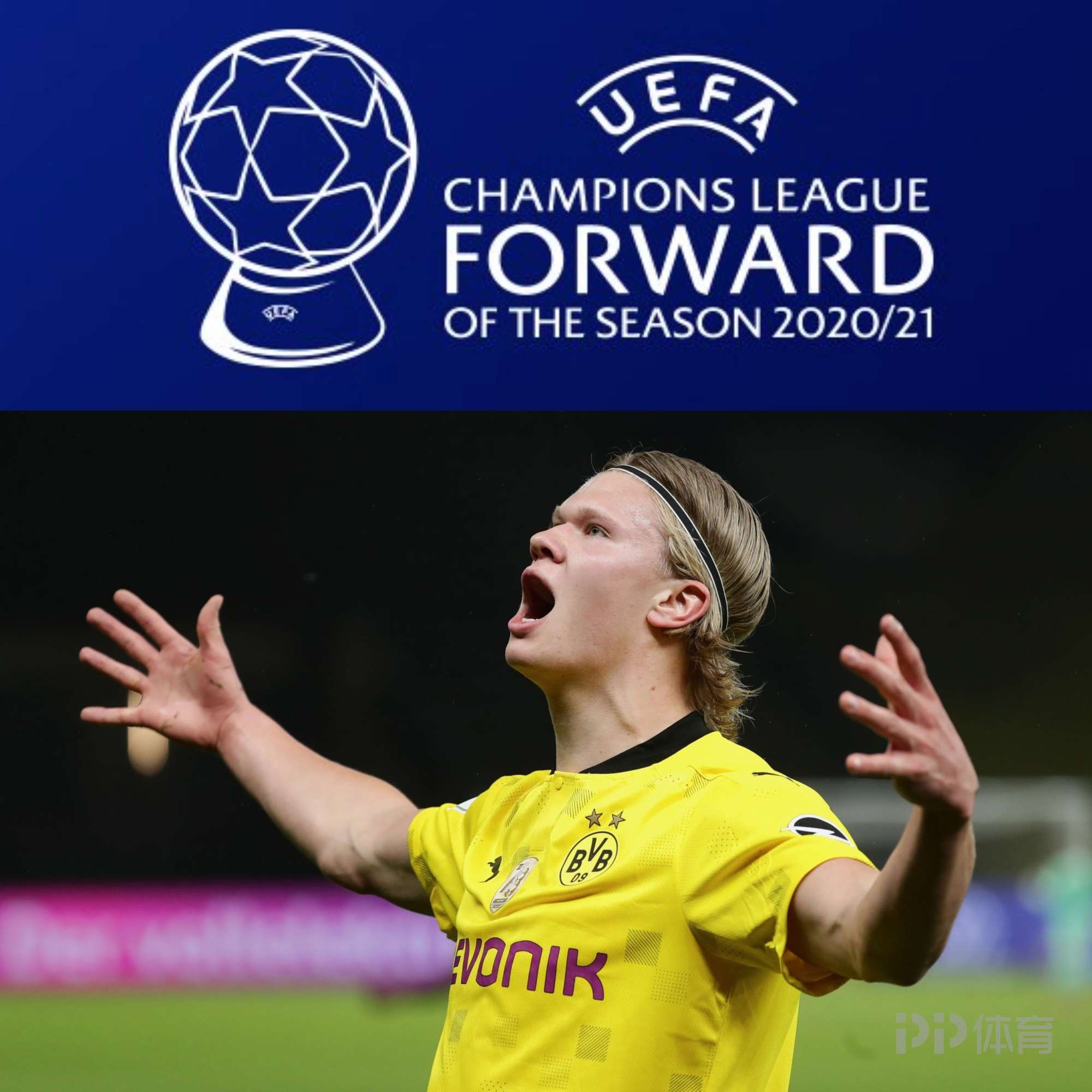 带护耳侧翼 带护耳侧翼